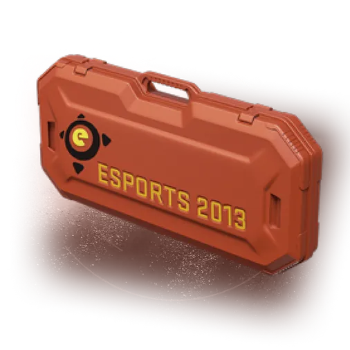 Кейс eSports 2013